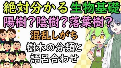 陽樹 陰樹 一覧|陰樹と陽樹の違いと代表的な樹木 